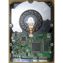 HDD Sun 500G 500Gb в Купавне, FRU 540-7889-01 в Купавне, BASE 390-0383-04 в Купавне, AssyID 0069FMT-1010 в Купавне, HUA7250SBSUN500G (Купавна)