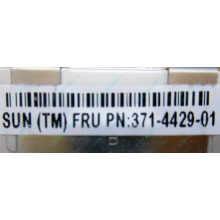 Серверная память SUN (FRU PN 371-4429-01) 4096Mb (4Gb) DDR3 ECC в Купавне, память для сервера SUN FRU P/N 371-4429-01 (Купавна)