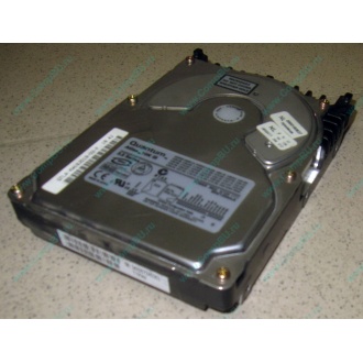 Жесткий диск 18.4Gb Quantum Atlas 10K III U160 SCSI (Купавна)