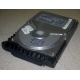 Жесткий диск 18.4Gb Quantum Atlas 10K III U160 SCSI (Купавна)