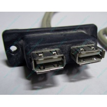 USB-разъемы HP 451784-001 (459184-001) для корпуса HP 5U tower (Купавна)