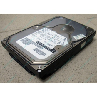 Жесткий диск 18.2Gb IBM Ultrastar DDYS-T18350 Ultra3 SCSI (Купавна)