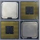 Процессоры Intel Pentium-4 506 (2.66GHz /1Mb /533MHz) SL8J8 s.775 (Купавна)