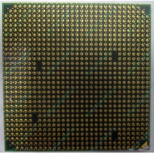 Процессор AMD Athlon 64300+ (1.8GHz) ADA3000IAA4CN s.AM2 (Купавна)