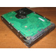 Жесткий диск 300Gb 15k Seagate Cheetach ST3300656SS 15K.6 Dell 9CH066-050 6G SAS (Купавна)